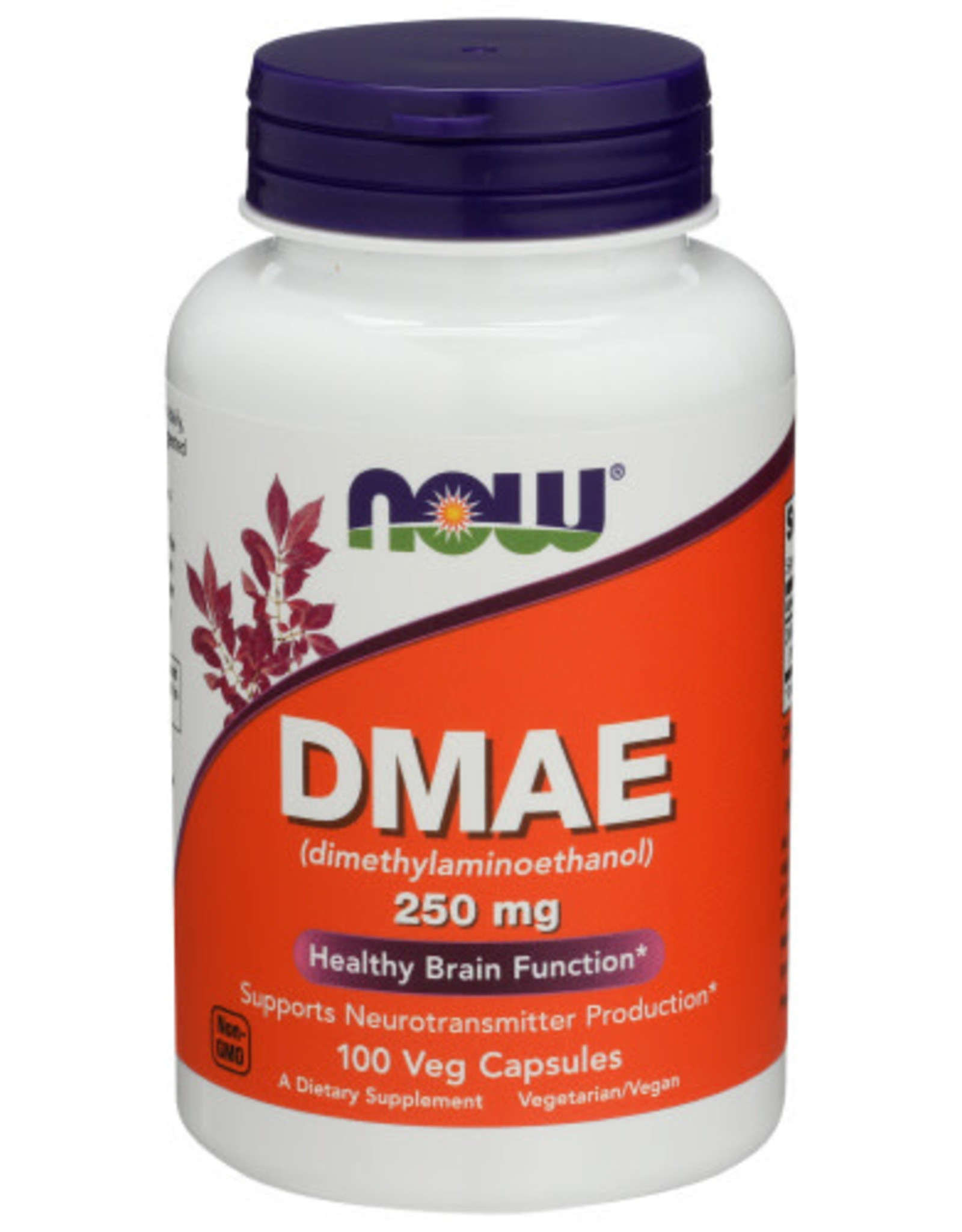 NOW FOODS NOW DMAE 250 MG. HEALTHY BRAIN FUNCTION DIETARY SUPPLEMENT, 100 CAPSULES