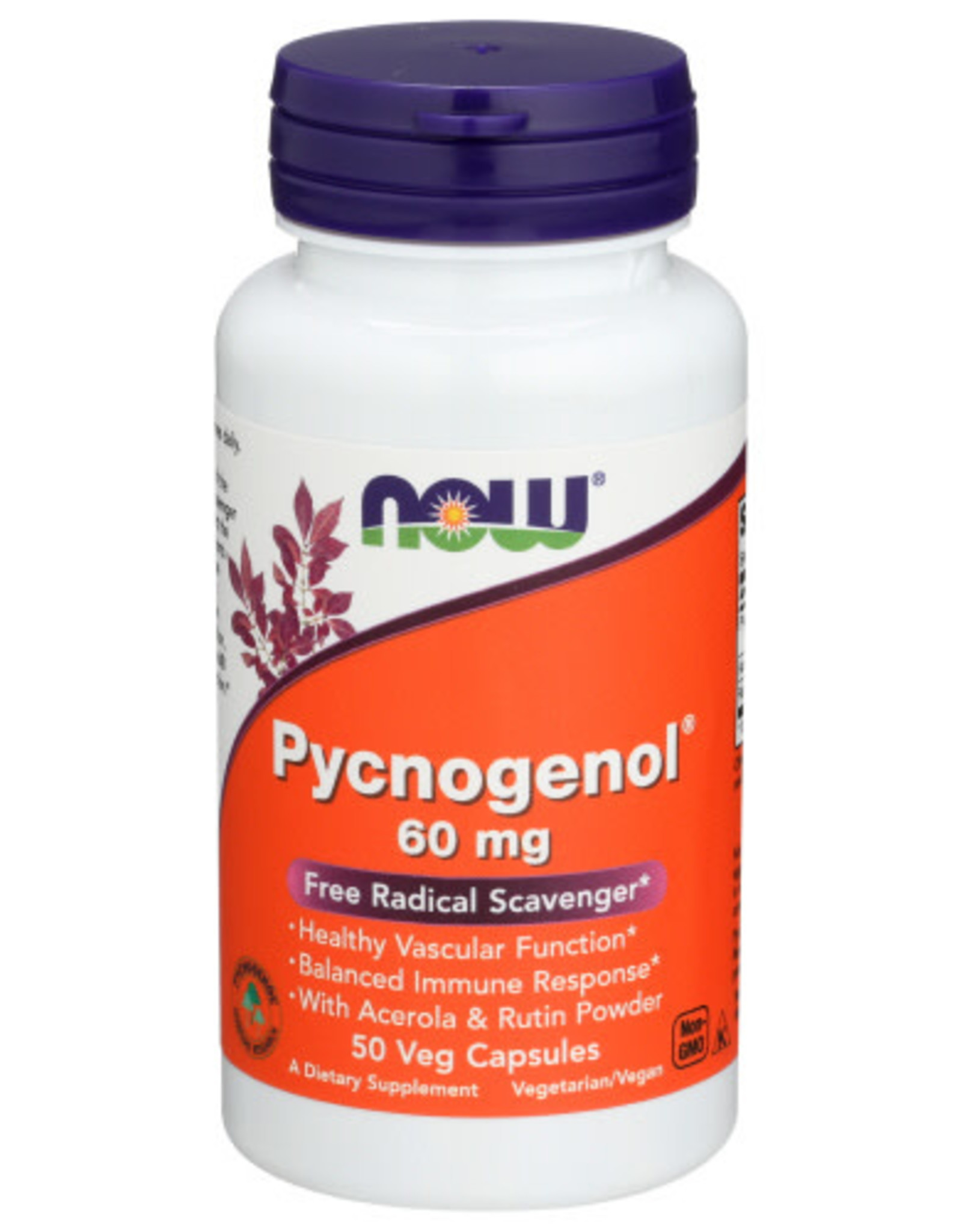 NOW FOODS Now Pycnogenol 60mg Free Radical Scavenger 50 Veg Capsules