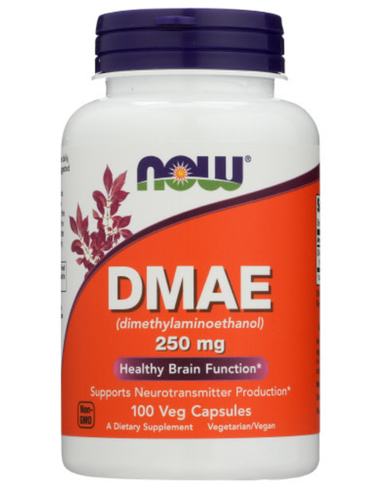 NOW FOODS NOW DMAE 250 MG. HEALTHY BRAIN FUNCTION DIETARY SUPPLEMENT, 100 CAPSULES