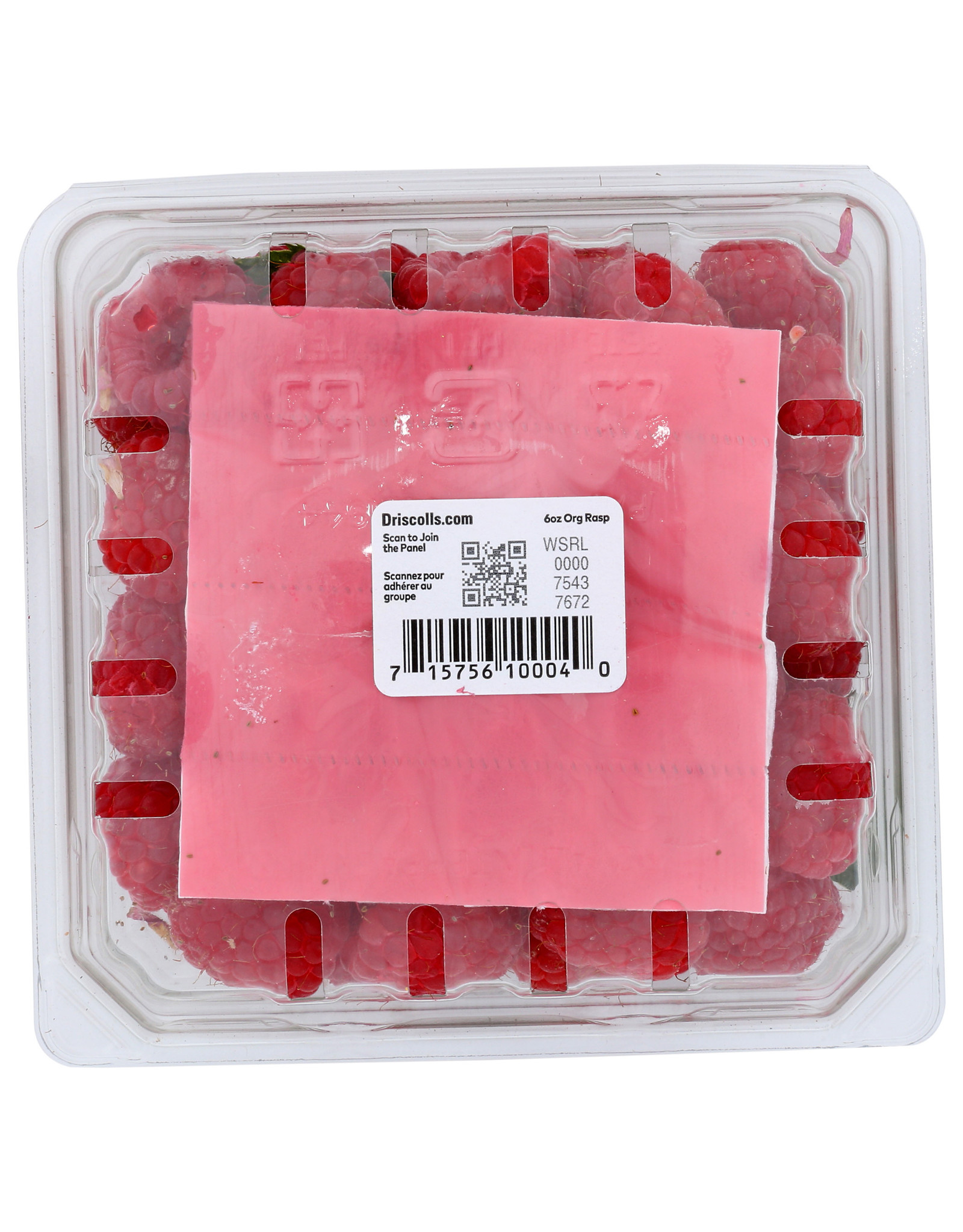 OG Raspberries