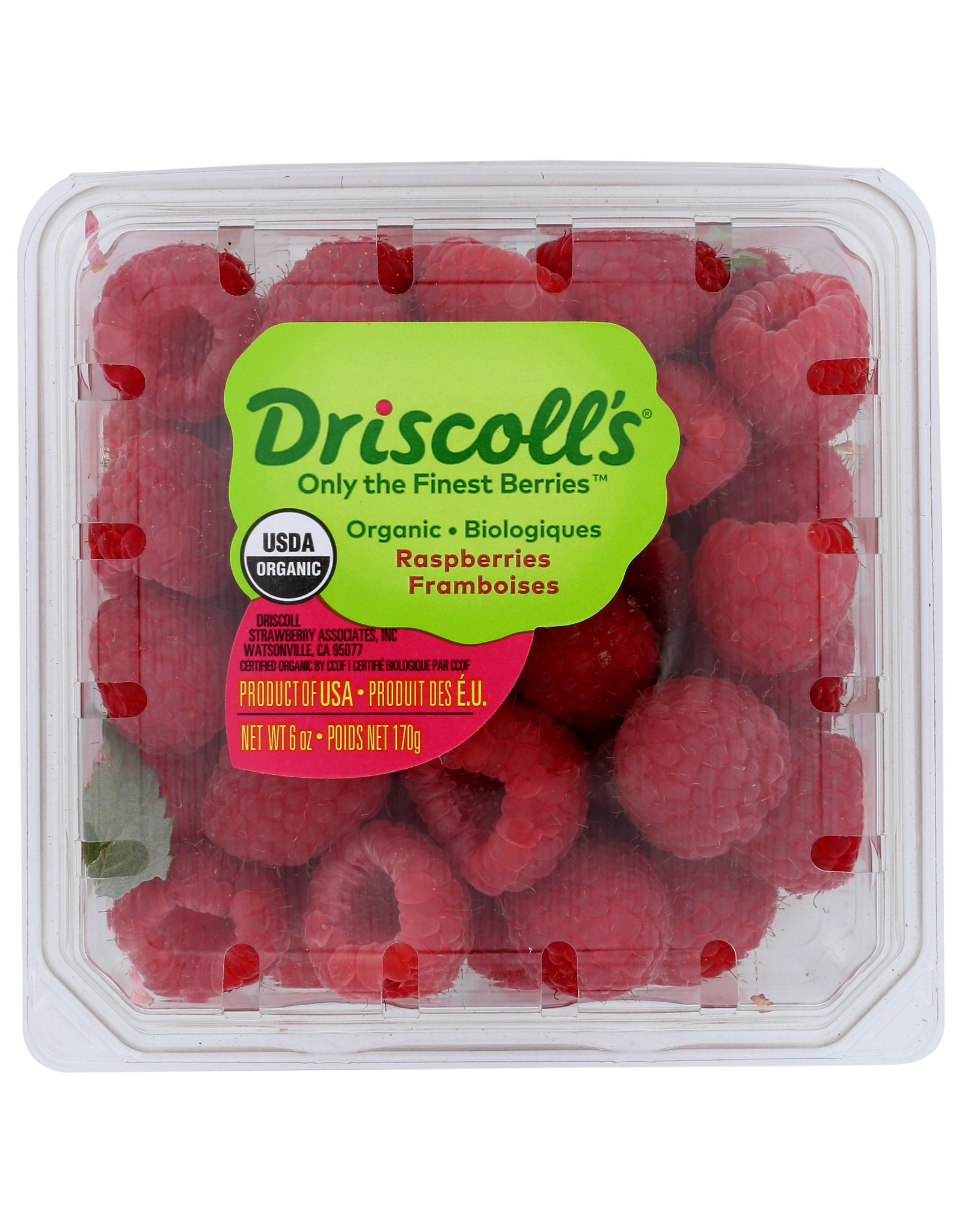 OG Raspberries