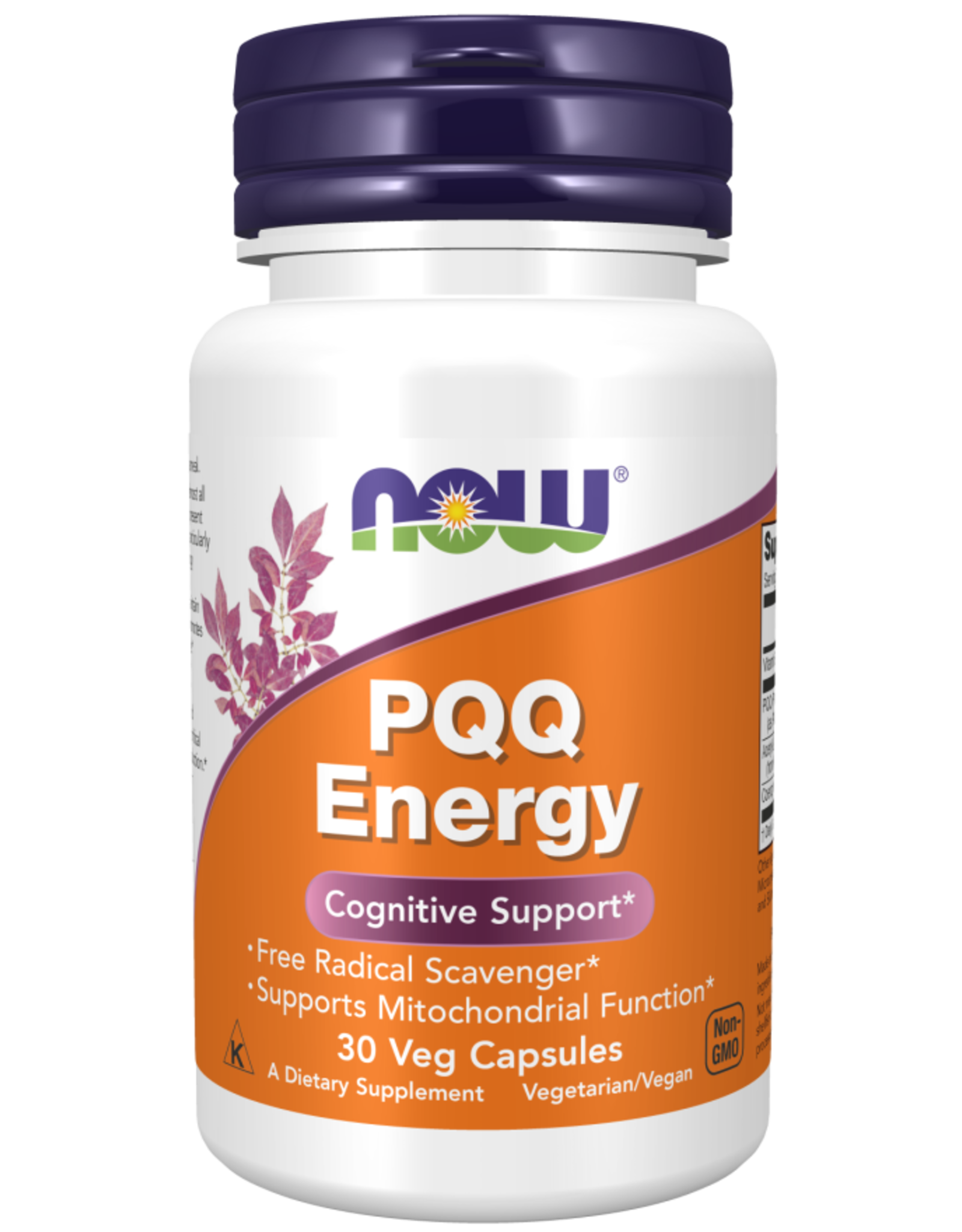 X Now PQQ Energy Cognitive Support 30 veg cap