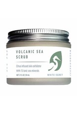 X White Egret Volcanic Sea Scrub