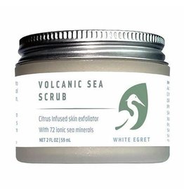 X White Egret Volcanic Sea Scrub