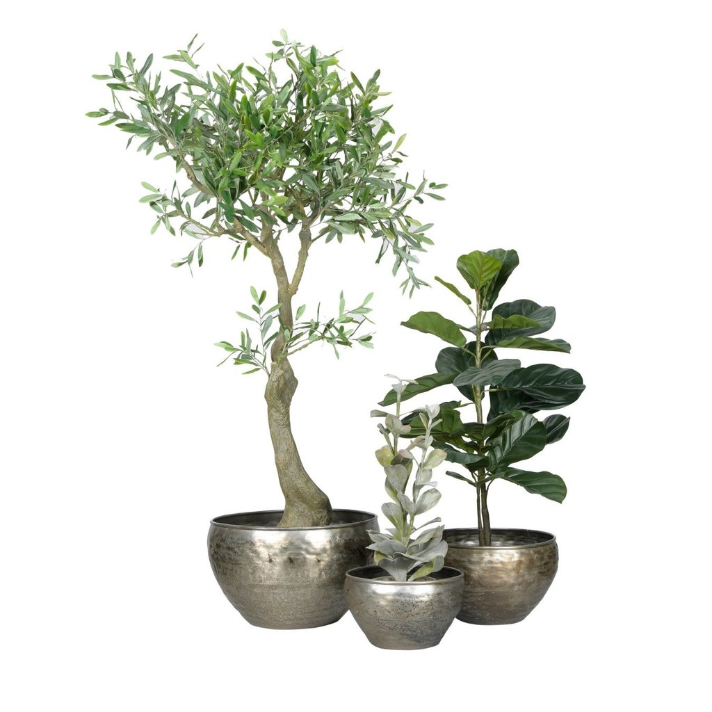 Galvanized Metal Planters