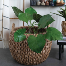 Water Hyacinth Baskets