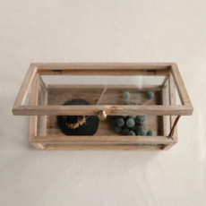 Mango Wood & Glass Display Box