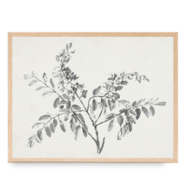 Framed Blossom Branch Print