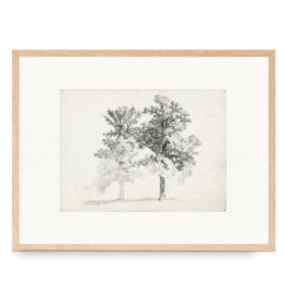 Framed Two Trees Drawing