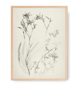 Framed Rustic Flower Sketch