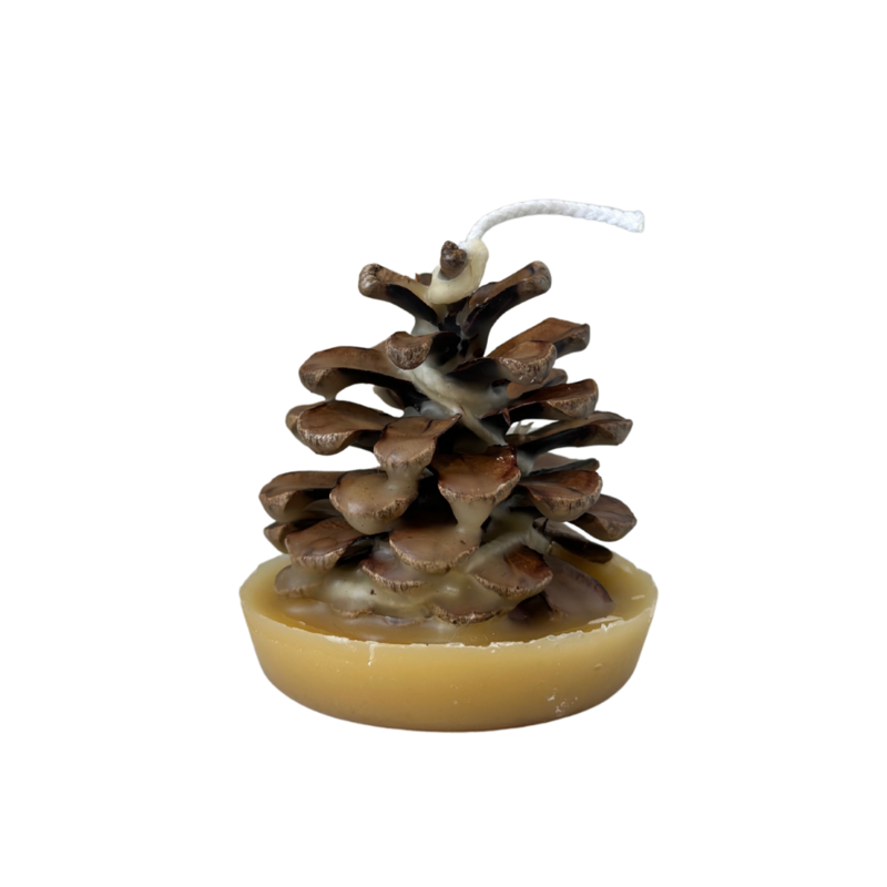 Beeswax Pinecone Firestarter