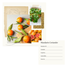Mandarin Coriander Diffuser