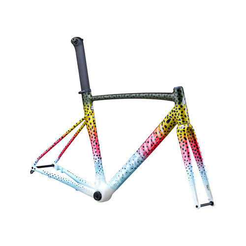 Specialized Allez Sprint Disc Frameset Specialized Allez Sprint Disc Frameset