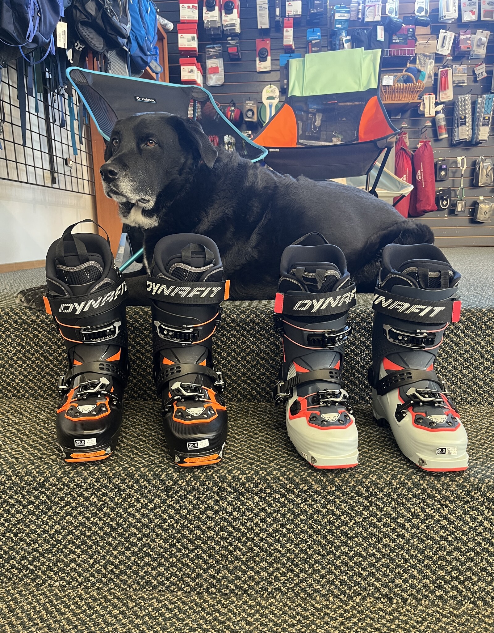 Dynafit DEMO Radical Touring Boots, Men's and Women's