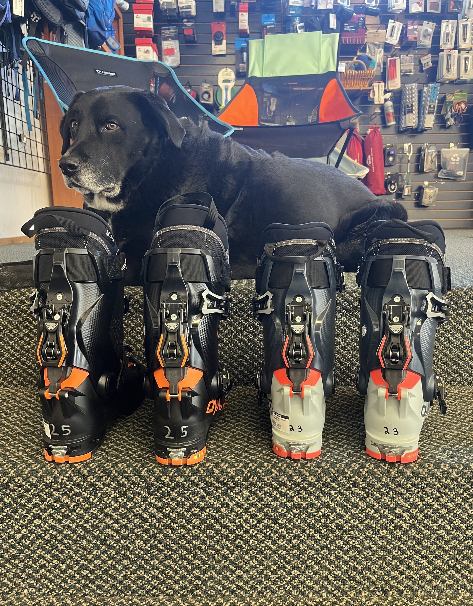 Dynafit DEMO Radical Touring Boots, Men's and Women's