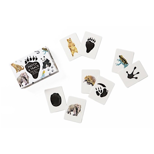 Match a Track: Match 25 Animals to Their Paw Prints