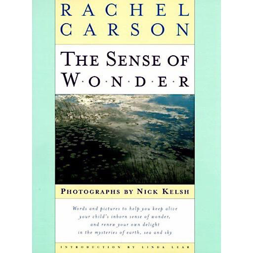 Harper Collins The Sense Of Wonder by Rachel Carson