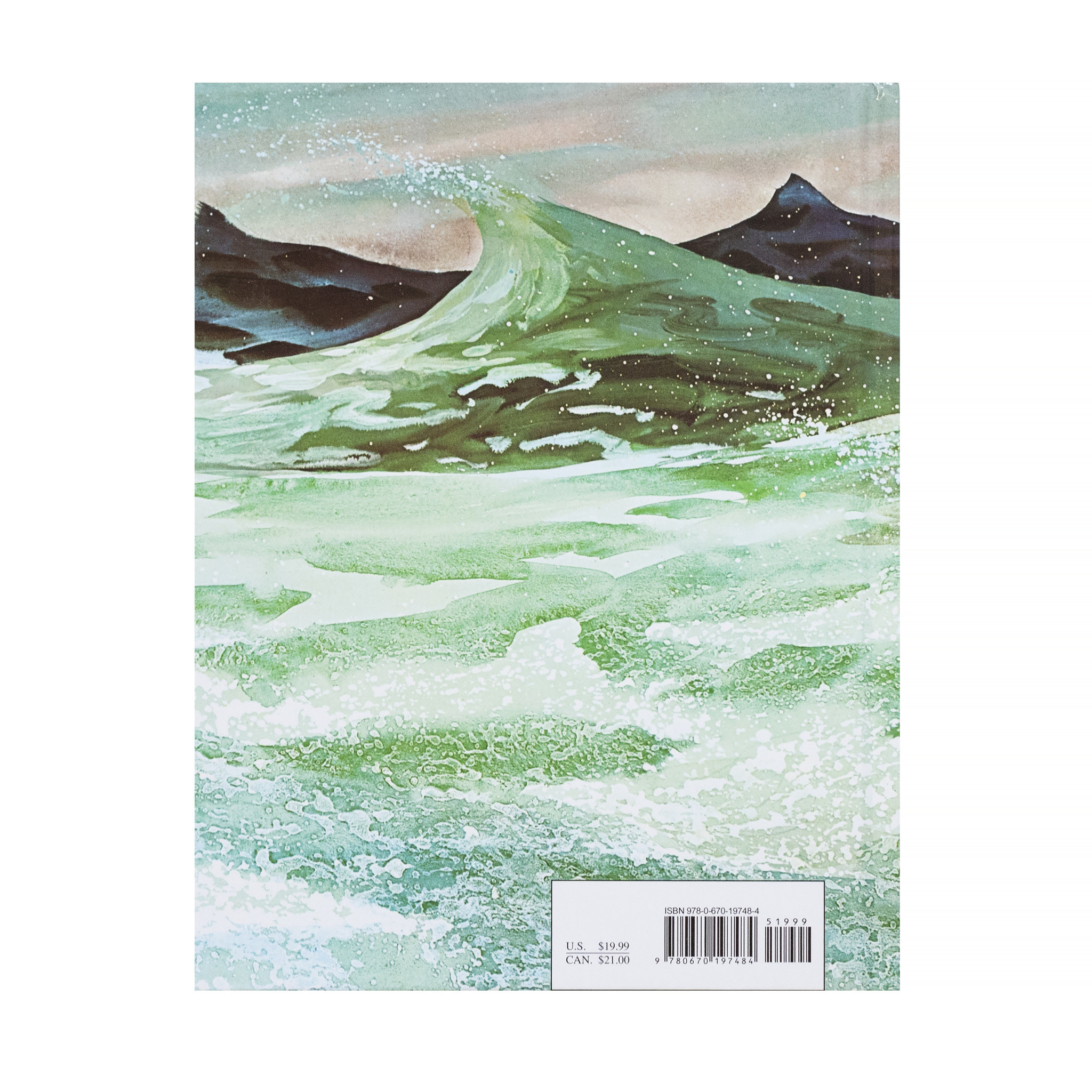 Burt Dow Deep-Water Man Hardcover Book