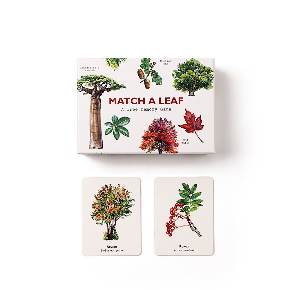 Match A Leaf