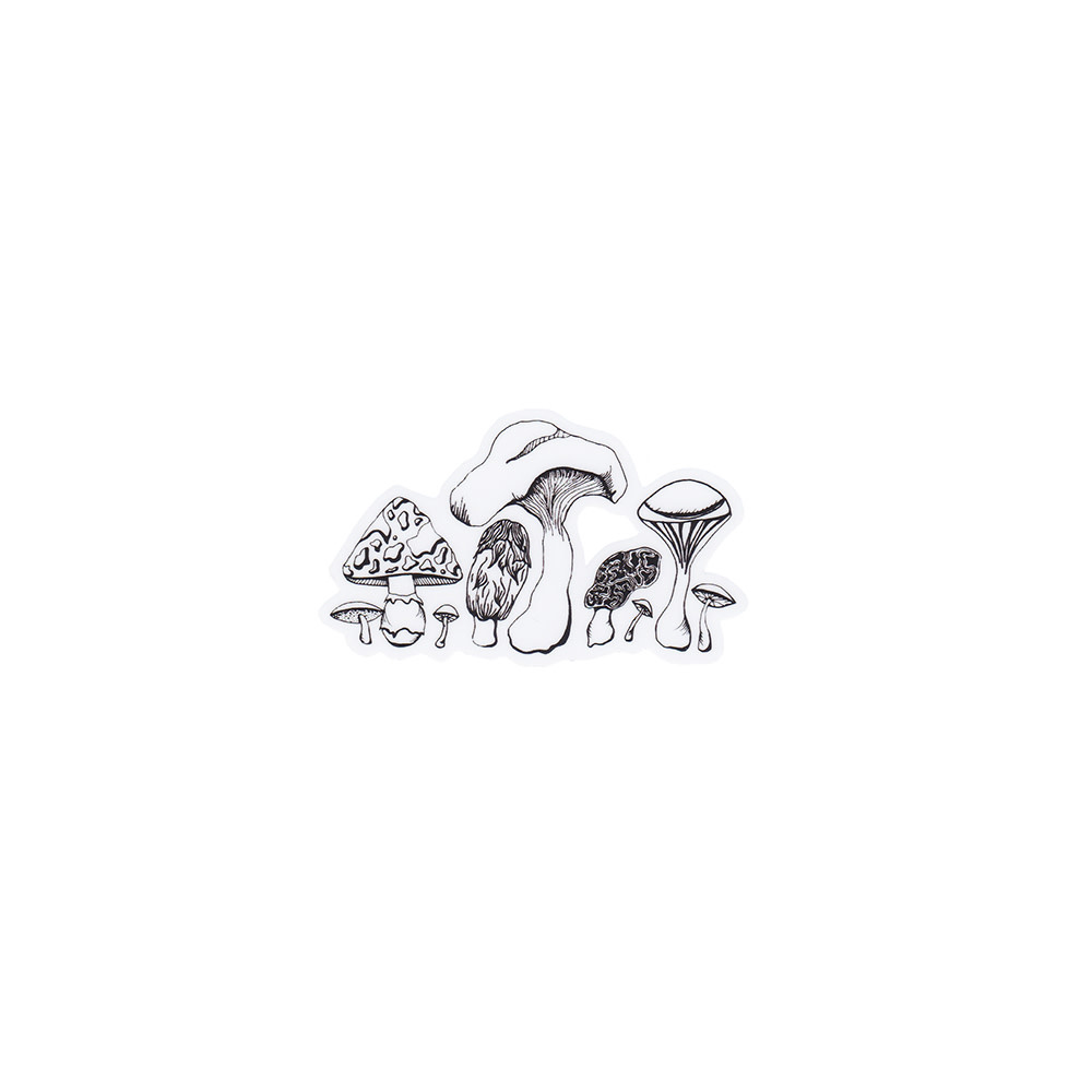 Wild Slice Design Wild Slice Design - Vinyl Sticker - Mushroom 4"