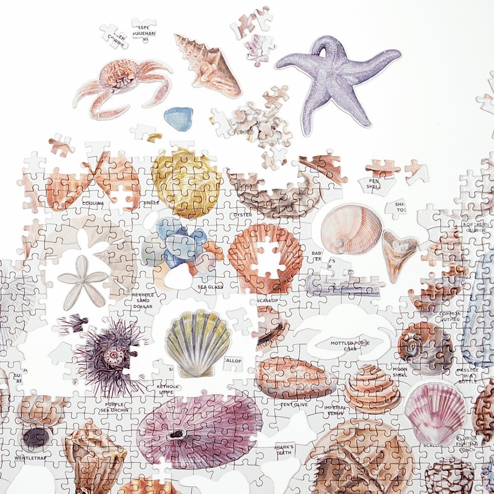 The Beachcombers Companion 1000 Piece Jigsaw Puzzle