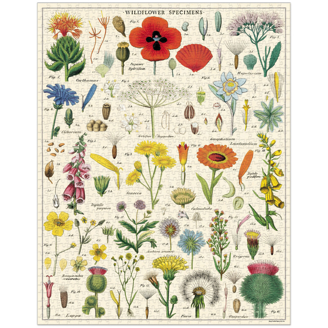 Cavallini Jigsaw Puzzle - Wildflowers - 1000 Pieces