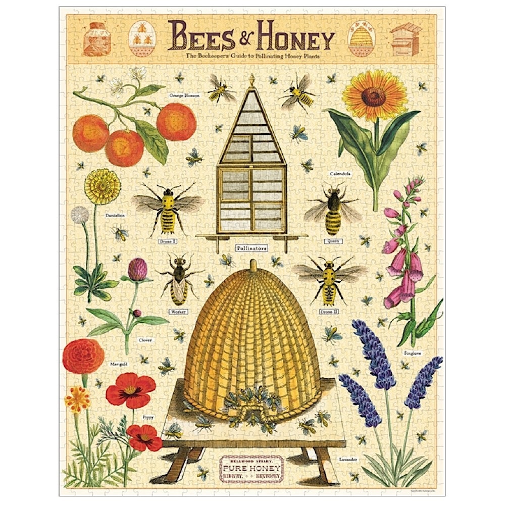 Cavallini - 1000 Piece Jigsaw Puzzle - Bees & Honey