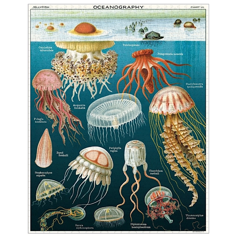 Cavallini - 1000 Piece Jigsaw Puzzle - Jellyfish