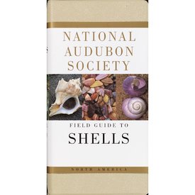 Knopf National Audubon Society's Field Guide To Shells Paperback Book