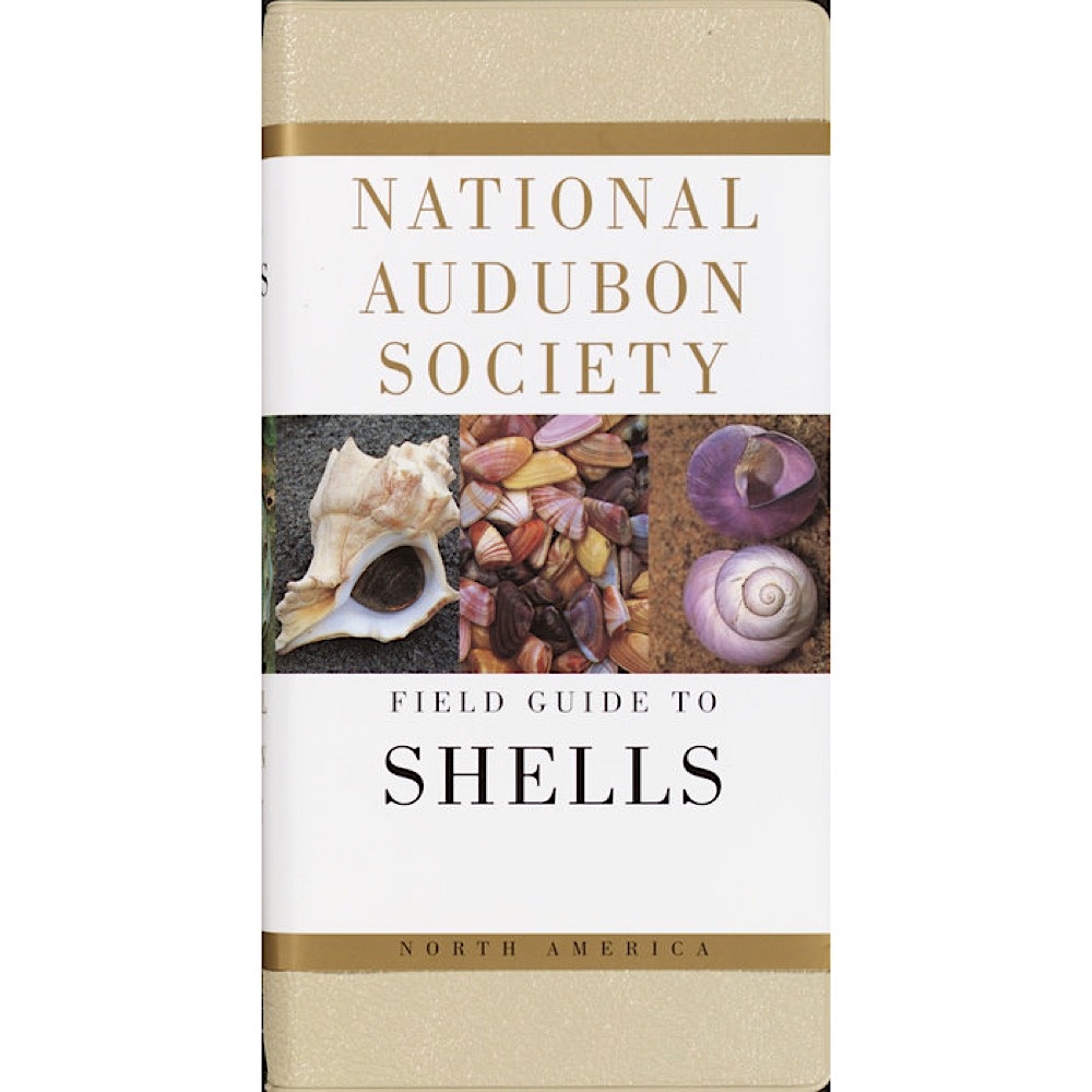 Knopf National Audubon Society's Field Guide To Shells Paperback Book