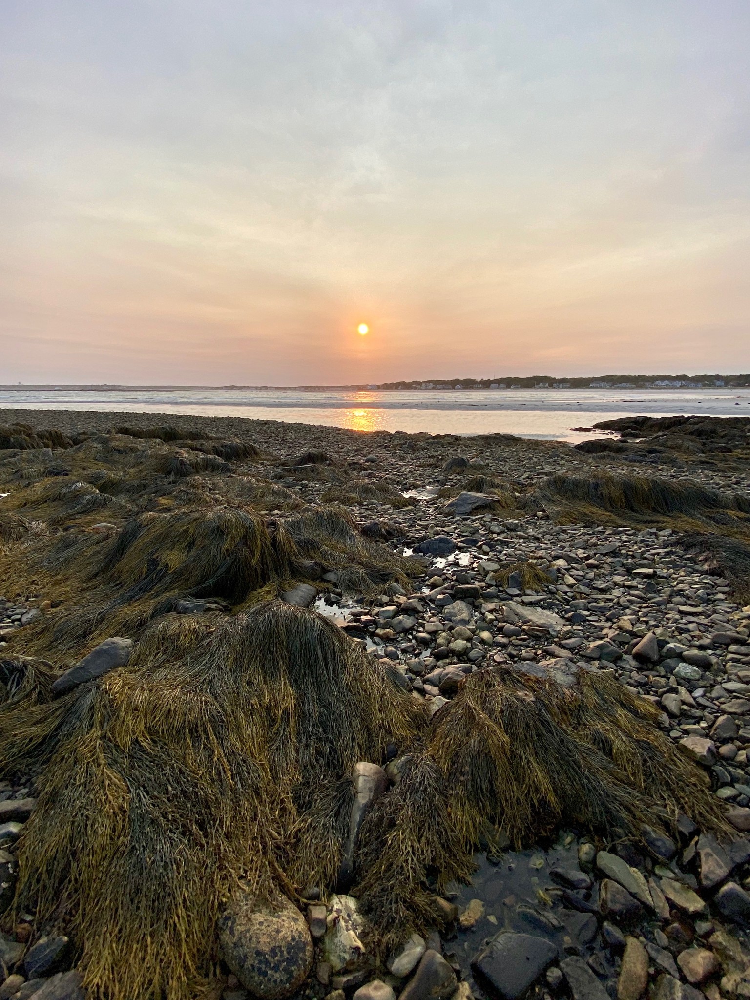 Low Tide Adventures to Timber Island