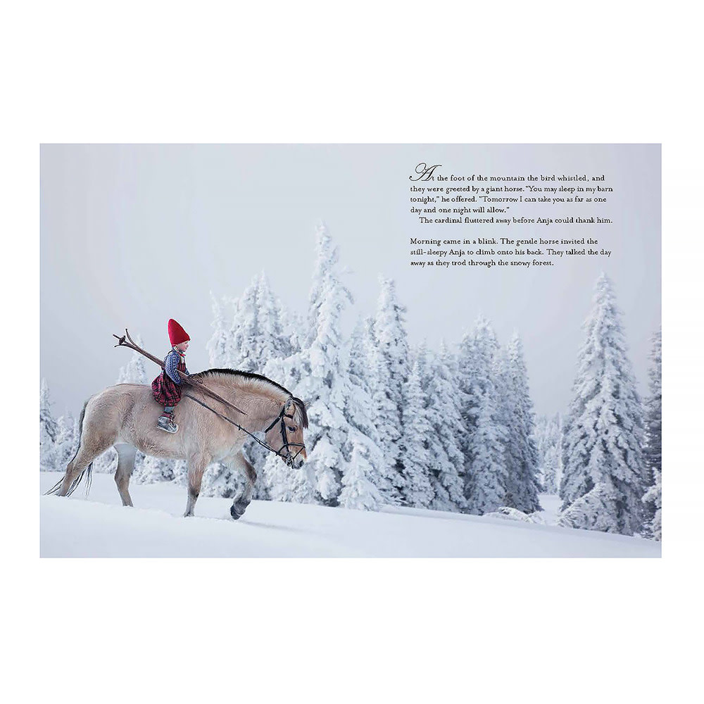 The Christmas Wish Hardcover Book