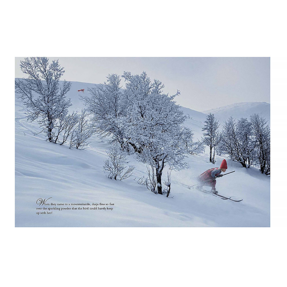 The Christmas Wish Hardcover Book