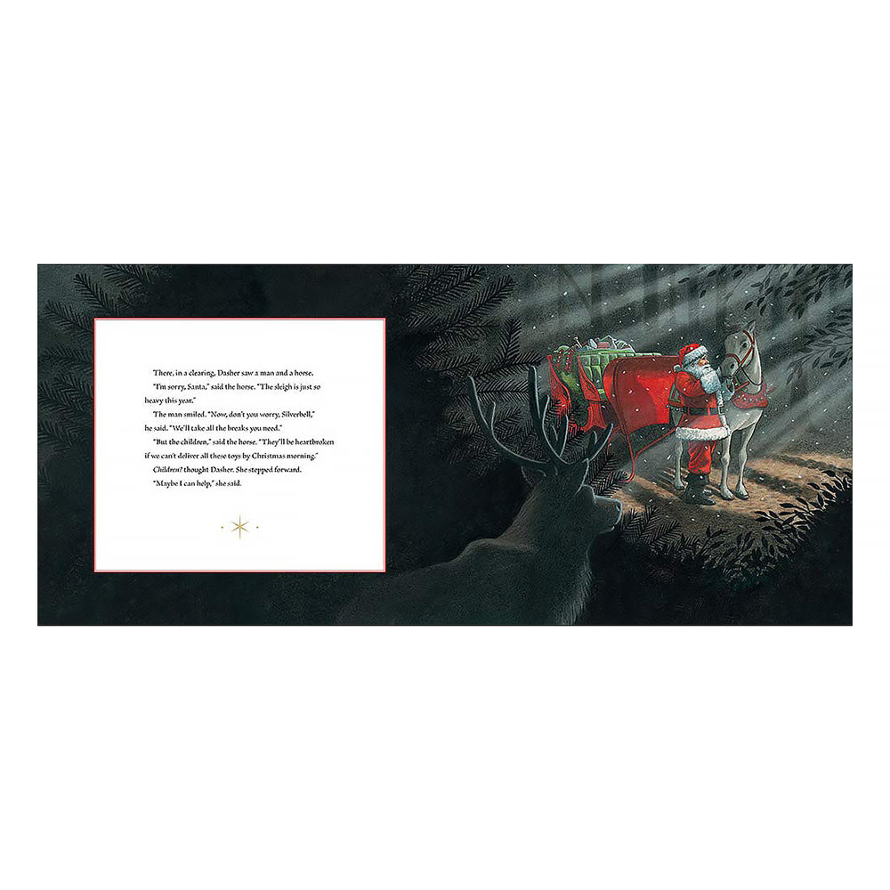 Dasher Hardcover Book