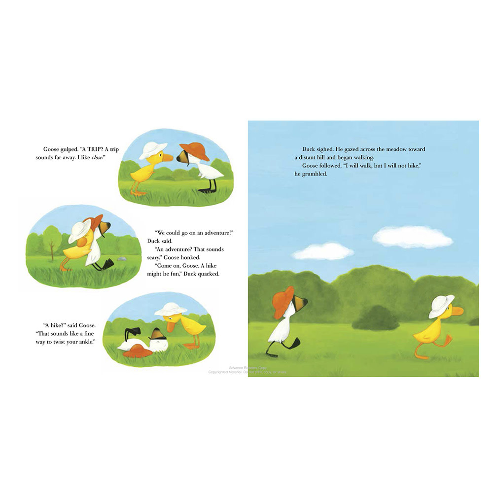 Duck & Goose Go to the Beach Hardcover Book