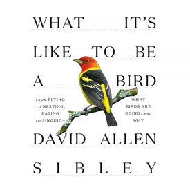 Random House What It's Like to Be a Bird Hardcover