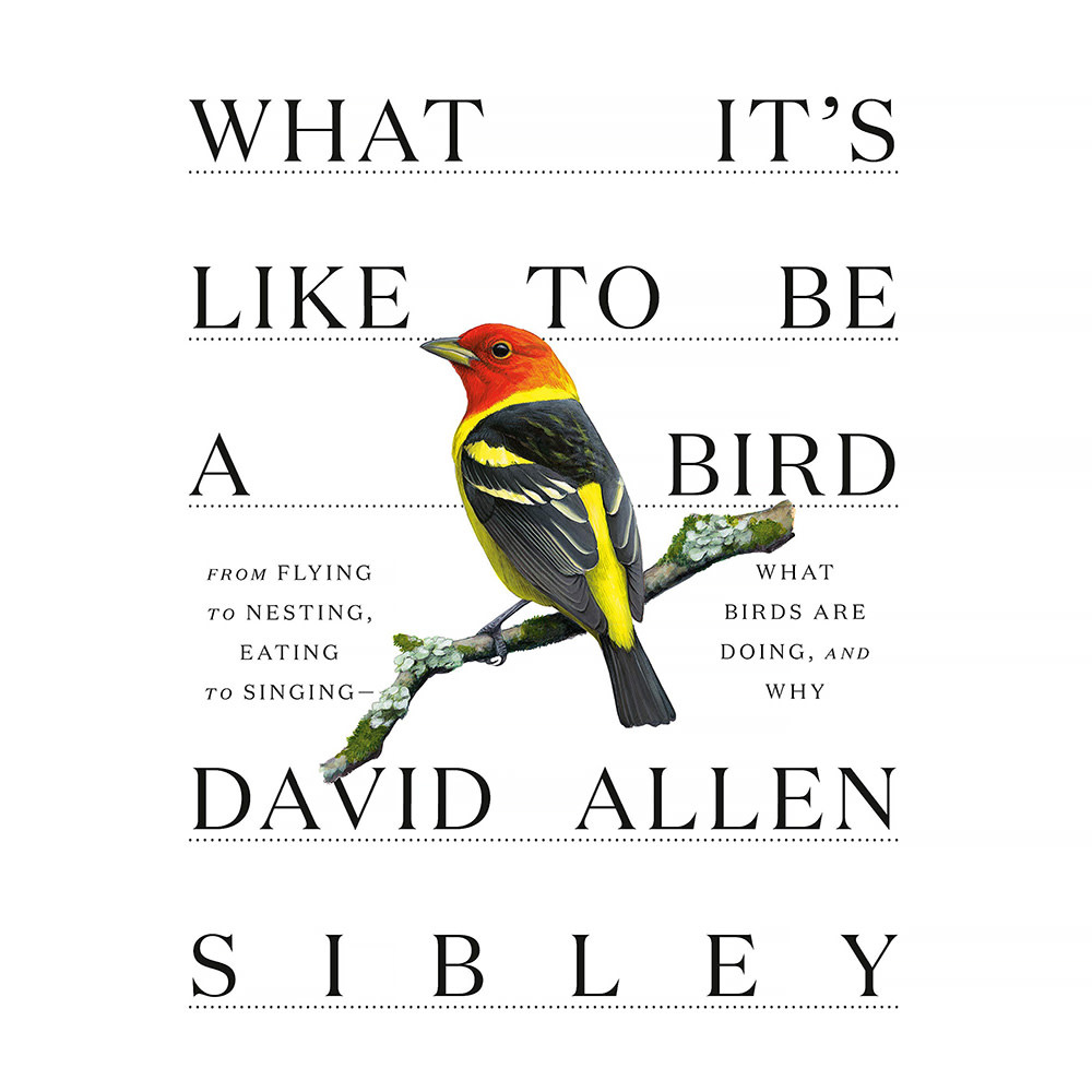 Random House What It's Like to Be a Bird Hardcover