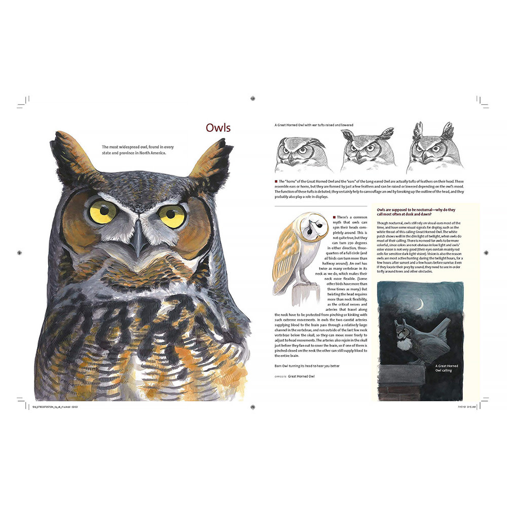 What It's Like to Be a Bird Hardcover