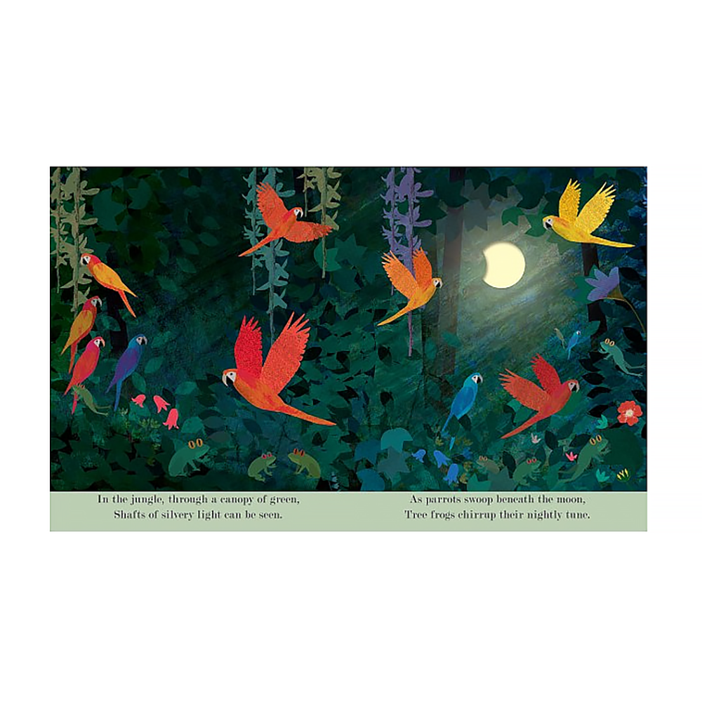 Moon: A Peek-Through Hardcover Book