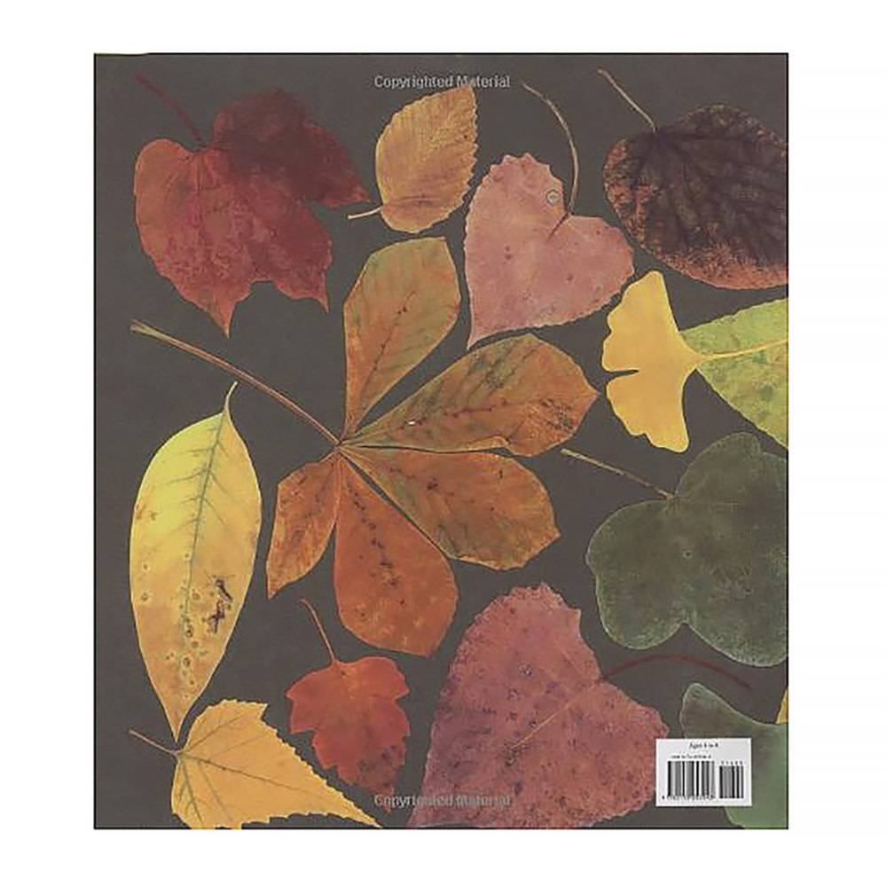 Leaf Man Hardcover Book