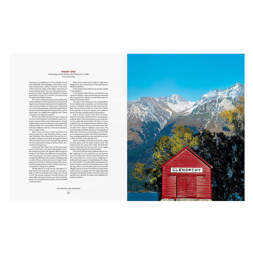 Accidentally Wes Anderson Hardcover Book