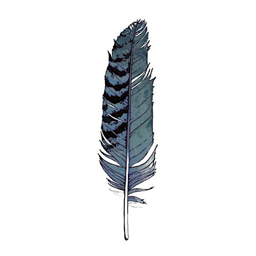 Tattly Tattoo 2 Pack Blue Jay Feather