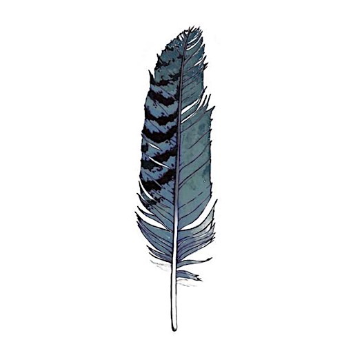Tattly Tattly Tattoo 2-Pack - Blue Jay Feather