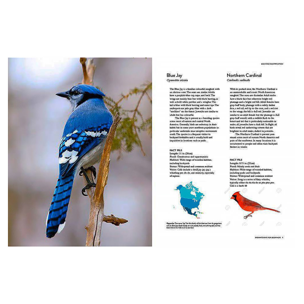 The Backyard Birdwatcher's Bible Hardcover Book