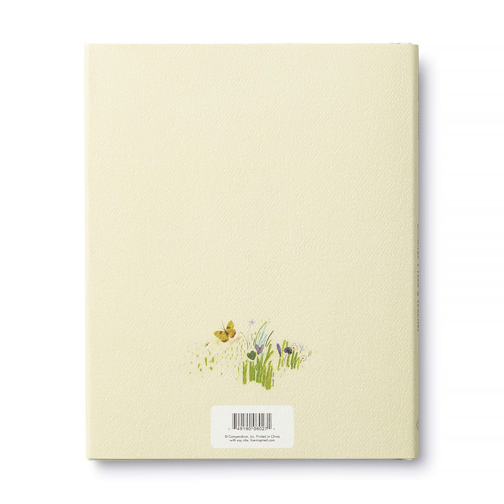 Because I Had A Teacher Hardcover Book
