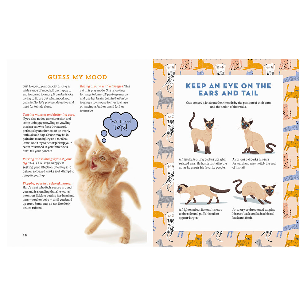A Kids Guide to Cats