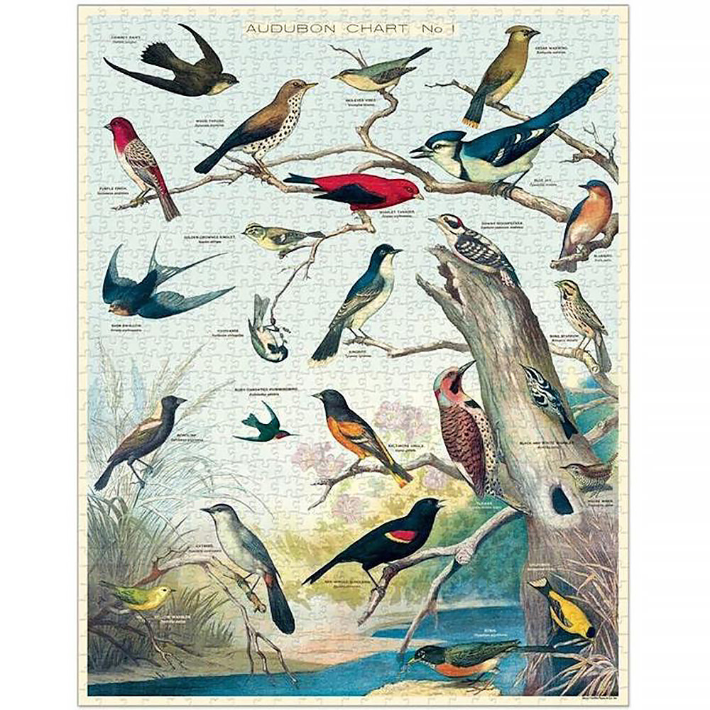 Cavallini - 1000 Piece Jigsaw Puzzle -  Audubon Birds