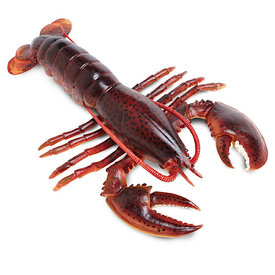 Safari Ltd Maine Lobster