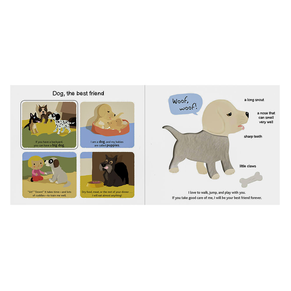 Touch and Explore - Pets Board Book