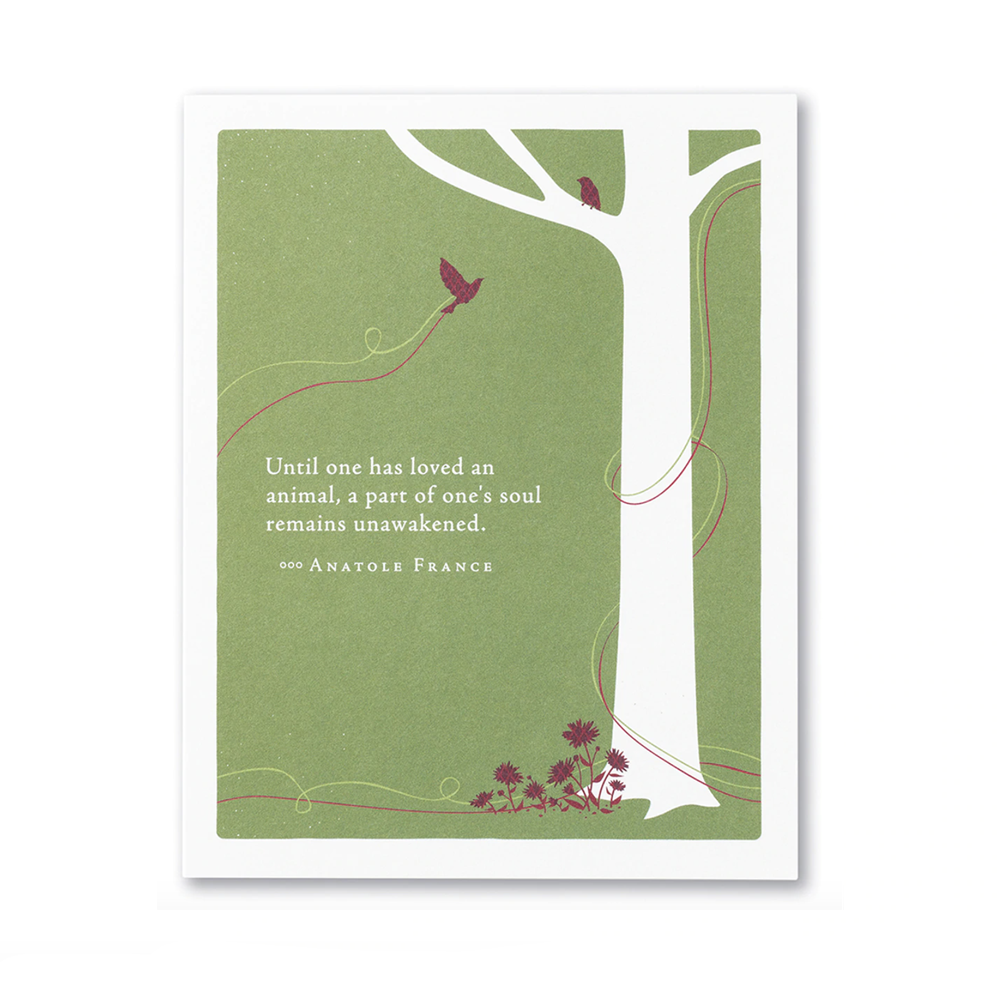 Pet Sympathy Card - Until One Had Loved An Animal
